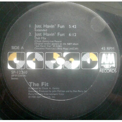 The Fit Just Havin' Fun Vinyl 12" USED