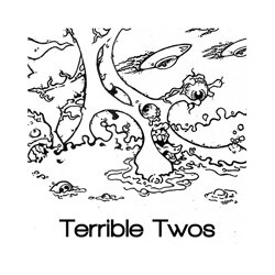 Terrible Twos Keeping It Grey Vinyl 7" USED