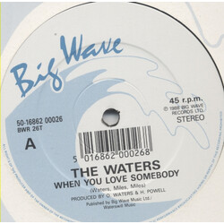 The Waters When You Love Somebody USED VINYL 12INCH 45 RPM