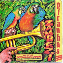 The Piranhas Zambezi Vinyl 7" USED
