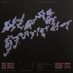 Echo Brown Midnight Static Vinyl 12" USED