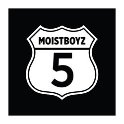 Moistboyz Moistboyz V Vinyl LP USED
