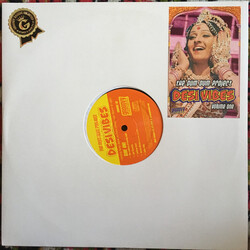 The Dum Dum Project Desi Vibes volume one Vinyl LP USED