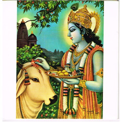 The Radha Krsna Temple Govinda Vinyl 7" USED