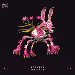 Special Feelings Special Feelings Vinyl LP USED