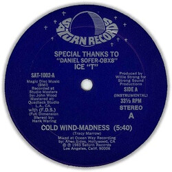 Ice-T Cold Wind-Madness / The Coldest Rap Vinyl 12" USED