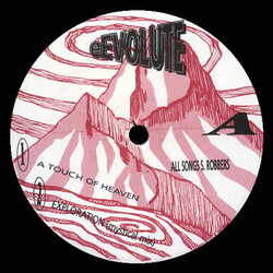Florence / Wladimir M Eevolute Vinyl 12" USED
