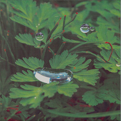 Cousin Homesoon Vinyl 12" USED