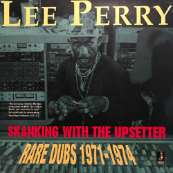 Lee Scratch Perry Skanking With The Upsetter - Rare Dubs 1971-1974 Vinyl LP USED