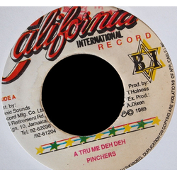 Pinchers A Tru Me Deh Deh Vinyl 7" USED
