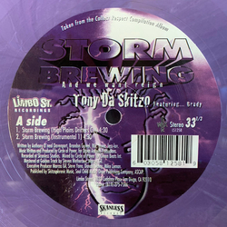 Tony Da Skitzo / Mr. Brady Storm Brewing Vinyl 12" USED