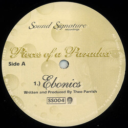 Theo Parrish Pieces Of A Paradox Vinyl 12" USED