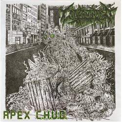 Contaminated (3) / Fistula Apex C.H.U.D. / Nigromancer Vinyl 7" USED