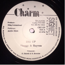 Shaggy / Rayvon Big Up USED VINYL 12INCH 45 RPM