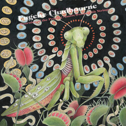 Eugene Chadbourne Mourning Of The Praying Mantis / Worms With Strings Vinyl LP USED