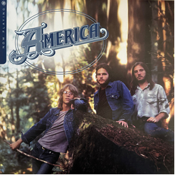 America (2) Now Playing Vinyl LP USED