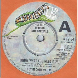 A Foot In Coldwater I Know What You Need Vinyl 7" USED