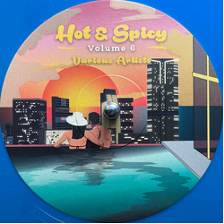 Various Hot & Spicy Volume 6 Vinyl 12" USED
