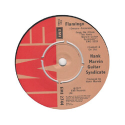 The Hank Marvin Guitar Syndicate Flamingo Vinyl 7" USED