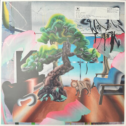 Hakushi Hasegawa エアにに Vinyl LP USED