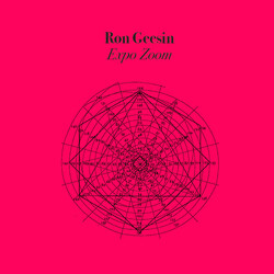 Ron Geesin ExpoZoom Vinyl LP USED