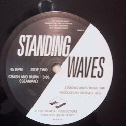 Standing Waves Vertigo / Crash And Burn Vinyl 12" USED