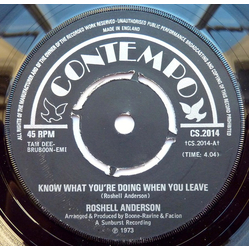 Roshell Anderson / Jesse Boone & The Astros Know What You're Doing When You Leave / No Particular One Vinyl 7" USED