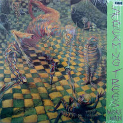 Screaming Trees Invisible Lantern Vinyl LP USED