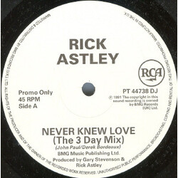 Rick Astley Never Knew Love Vinyl 12" USED