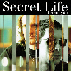 Secret Life I Want You Vinyl 7" USED