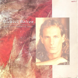 Michael Bolton Love Is A Wonderful Thing Vinyl 7" USED