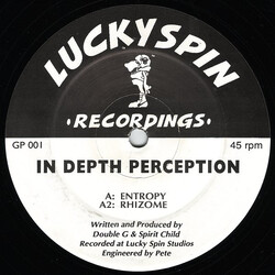 In Depth Perception Entropy / Rhizome Vinyl 12" USED