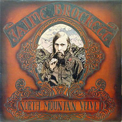 Jaime Brockett North Mountain Velvet Vinyl LP USED