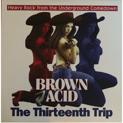 Various Brown Acid: The Thirteenth Trip (Heavy Rock From The Underground Comedown) Vinyl LP USED