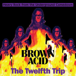 Various Brown Acid: The Twelfth Trip (Heavy Rock From The Underground Comedown) Vinyl LP USED