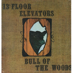 13th Floor Elevators Bull Of The Woods Vinyl LP USED