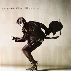 Bryan Adams Cuts Like A Knife Vinyl LP USED