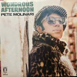 Pete Molinari Wondrous Afternoon Vinyl LP USED