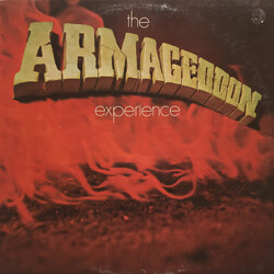The Armageddon Experience The Armageddon Experience Vinyl LP USED
