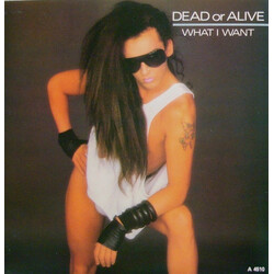 Dead Or Alive What I Want Vinyl 7" USED