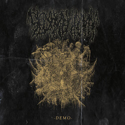 Sedimentum Demo Vinyl 12" USED