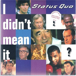 Status Quo I Didn't Mean It Vinyl 7" USED