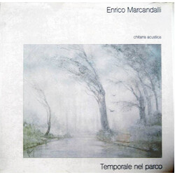 Enrico Marcandalli Temporale Nel Parco Vinyl LP USED