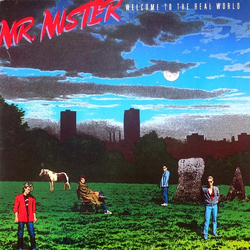 Mr. Mister Welcome To The Real World Vinyl LP USED