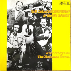 The Delmore Brothers / Wayne Raney When They Let The Hammer Down Vinyl LP USED