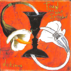 Toad The Wet Sprocket Dulcinea CD USED