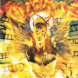 Toad The Wet Sprocket Fear CD USED