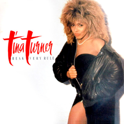 Tina Turner Break Every Rule CD USED