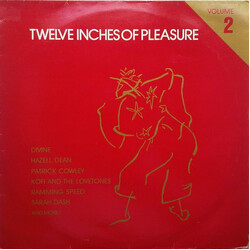 Various Twelve Inches Of Pleasure (Volume 2) Vinyl LP USED