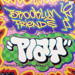 Brooklyn Friends Play Vinyl 12" USED